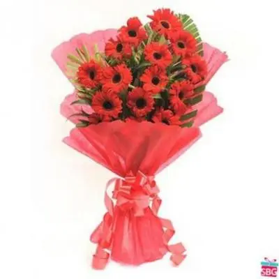 Red Gerbera Bouquet