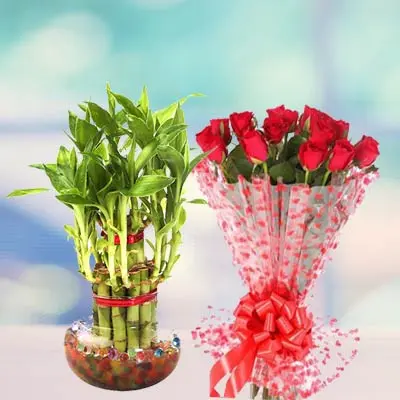 Lucky Bamboo With Roses