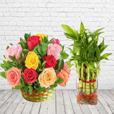 Lucky Bamboo With Mix Roses