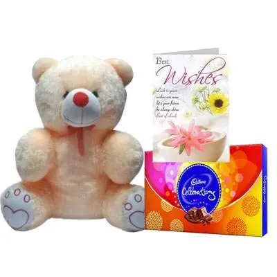 20 Inch Teddy with Celebration & Card