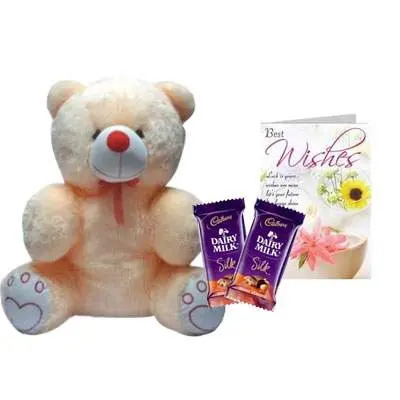 20 Inch Teddy with Silk & Card