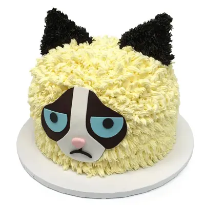 Grumpy Cat Cake