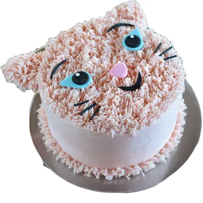 Hey guys, what do you think of this cat cake? Any suggestions for  improvement? : r/Baking