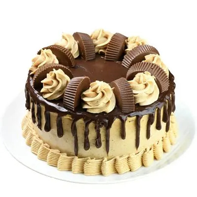 Peanut Butter Chocolate Cake