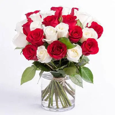 Red and White Roses Big Vase