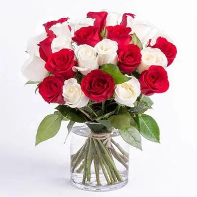 Red and White Roses Big Vase