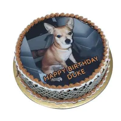 Chocolate Dog Photo Cake