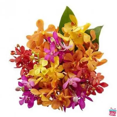 Mixed Orchid Flower Bouquet