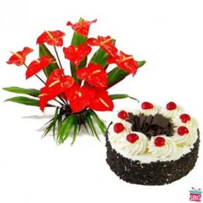 Anthurium With Black Forest Cake