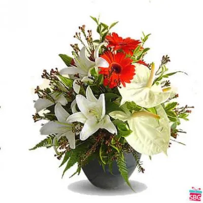 Anthurium Gerbera & Lily Arrangement