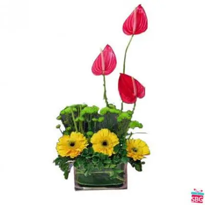 Anthurium & Gerbera Vase