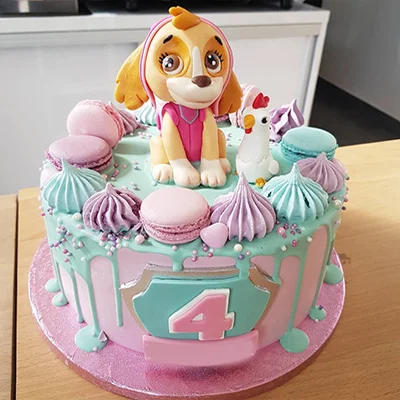 Paw Patrol Cake Skye