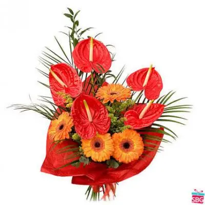 Anthurium & Gerbera Bouquet