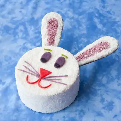 Easter Bunny Cake