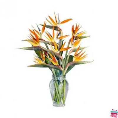 Birds of Paradise Vase