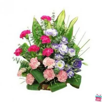 Mixed Carnation Basket