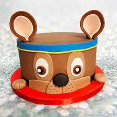 Paw Patrol Cake Chase