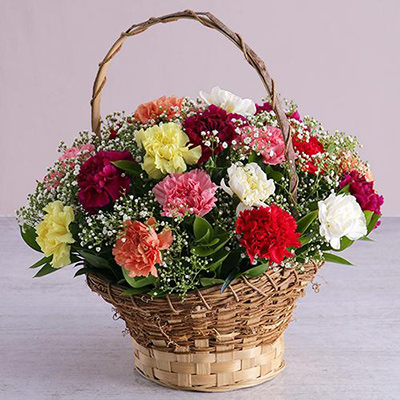 Mixed Carnation Basket