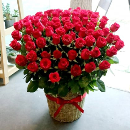 Red Roses Big Basket
