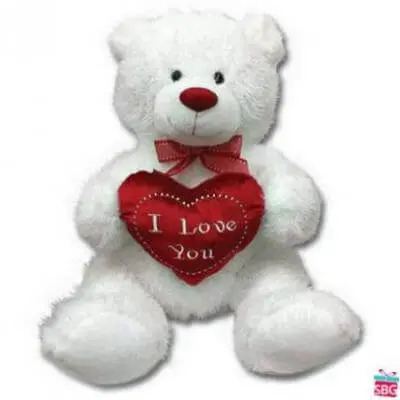 White Heart Teddy Bear