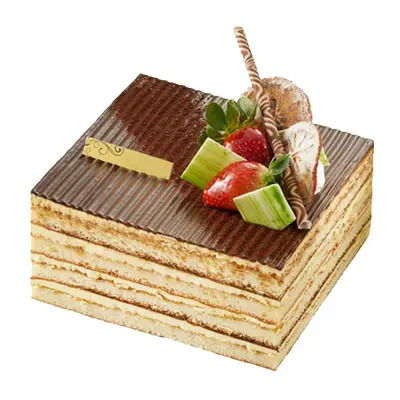 Opera Cake Chocolate