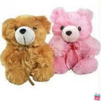 Teddy Pair