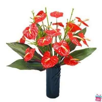 Anthurium Vase