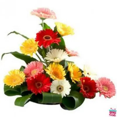 Mixed Gerbera Basket