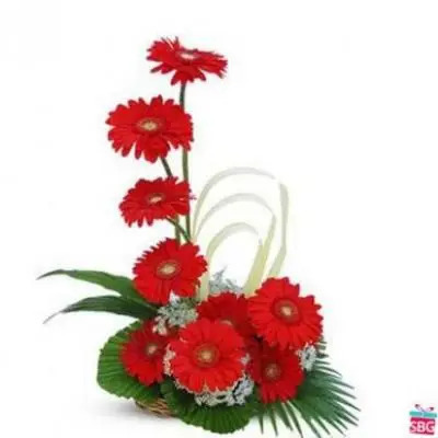 Red Gerbera Basket