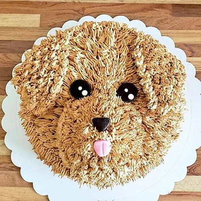 Dog Birthday Cake