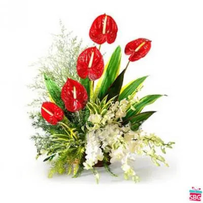 Anthurium & Orchid Arrangement