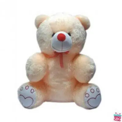 20 Inch Teddy Bear