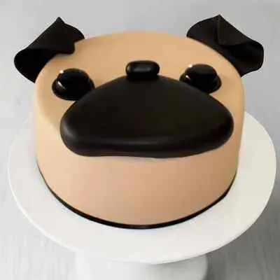 Dog Birthday Cake Near Me Dog Birthday Cake Designs