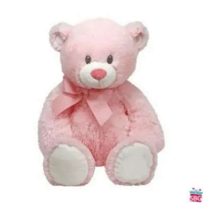 12 Inch Teddy Bear