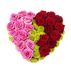 Heart Shape Flowers