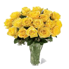 Yellow Roses