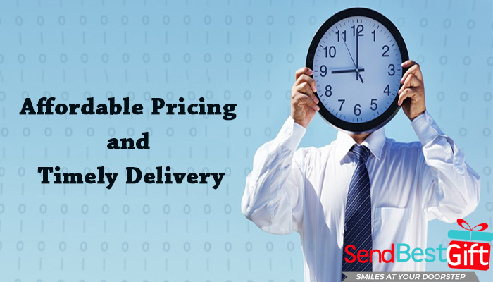 Affordable Pricing and Timely Delivery