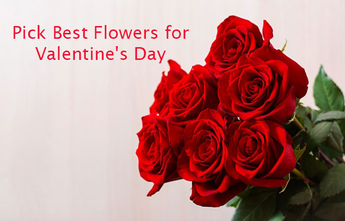 An Essential Gift Guide To Pick Best Flowers For Valentine’s Day