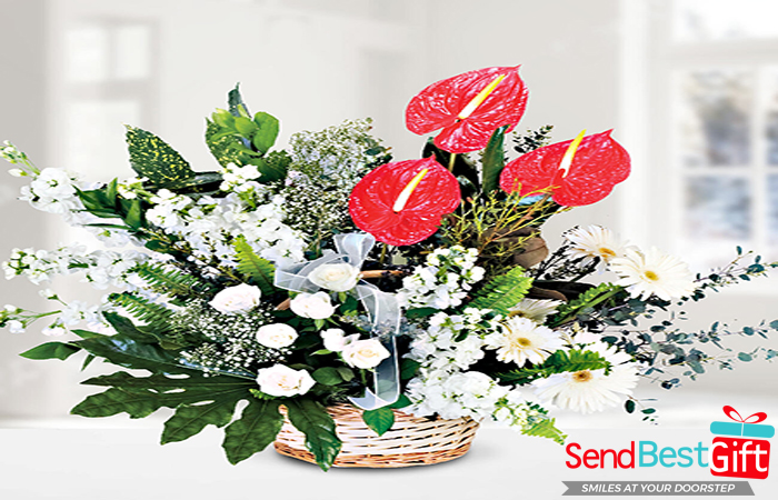 Anthurium & Gerbera Bouquet