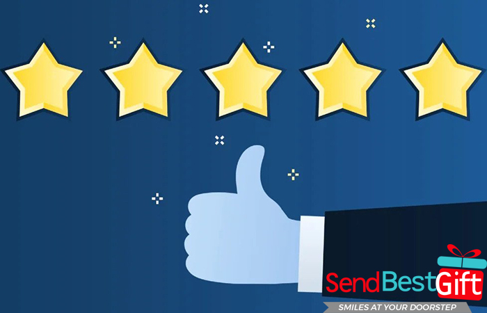 Customer Reviews and Testimonials