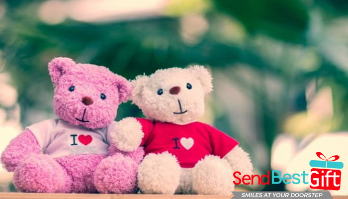 Cute Cuddly Teddy for Valentine Teddy Day