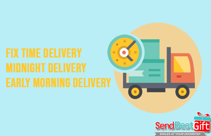 Delivery Options and Timings