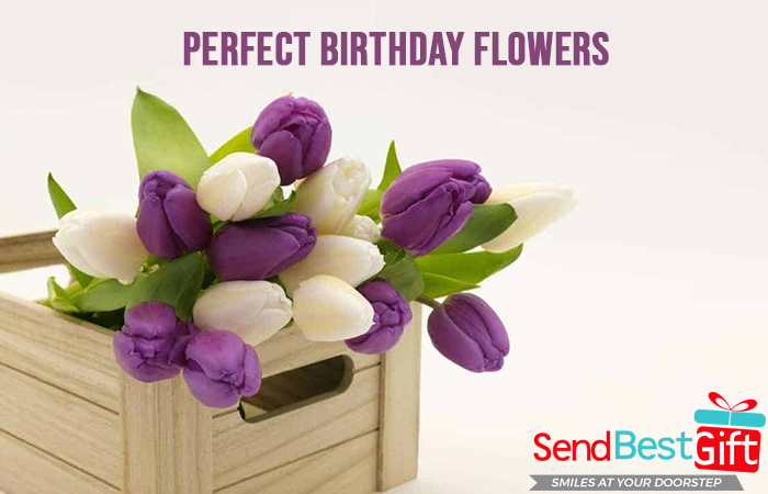 Tips for choosing the perfect birthday flowers