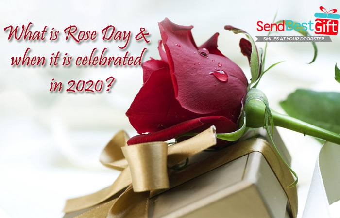 What is Rose Day & when it is celebrated in 2020