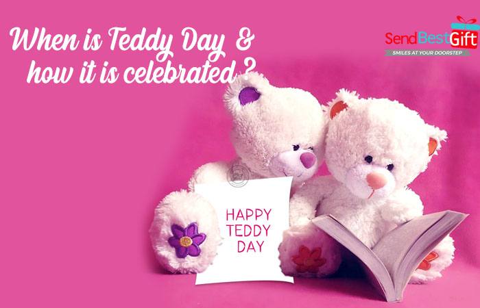 Valentine Teddy Day