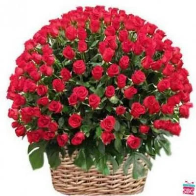 Red Roses Basket 500 Flowers