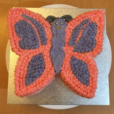 Butterfly Edible Cake