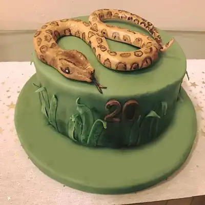 Snake Cake Fondant