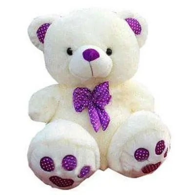 Order \u0026 Send White Purple Teddy Bear 