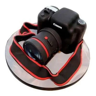 Camera Fondant Cake